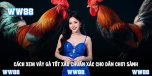 Cách xem vảy gà tốt xấu