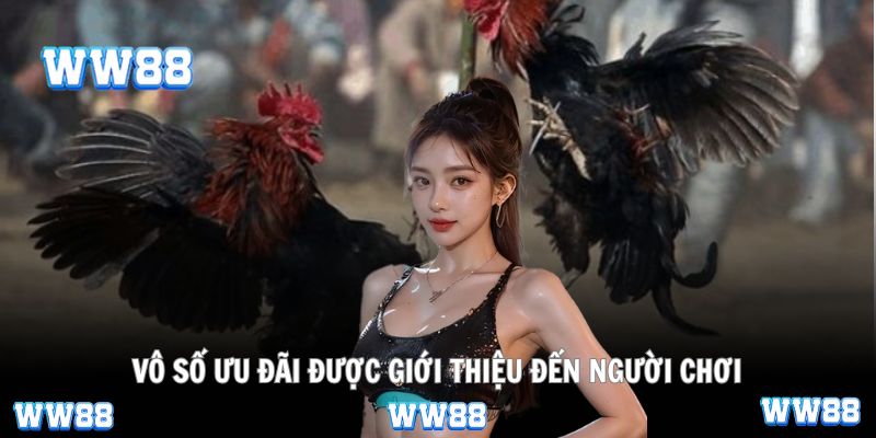 Vô số ưu đãi được giới thiệu đến người chơi